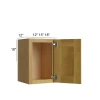 Burnt Sugar Shaker -  RTA Wall Cabinet 18" x 18"