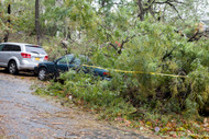 Storm Causes Widespread Power Outages in Northeast 