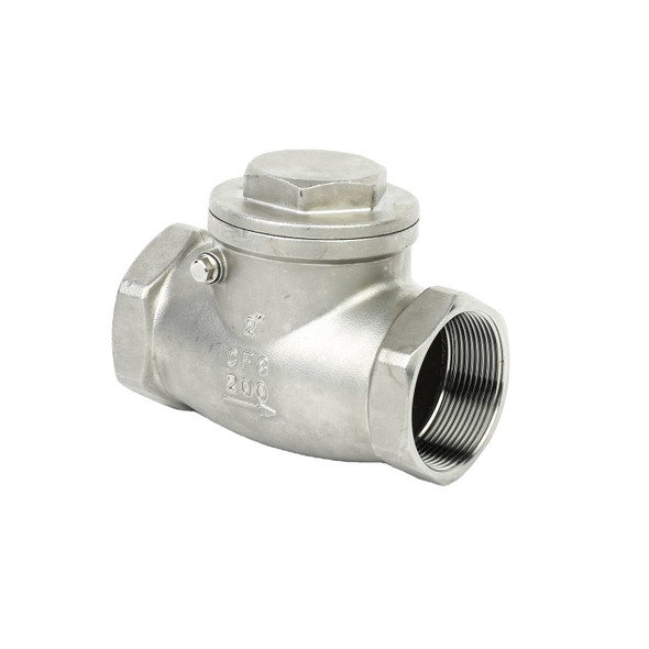 SS316 Swing Check Valve 2 in BSP PN16