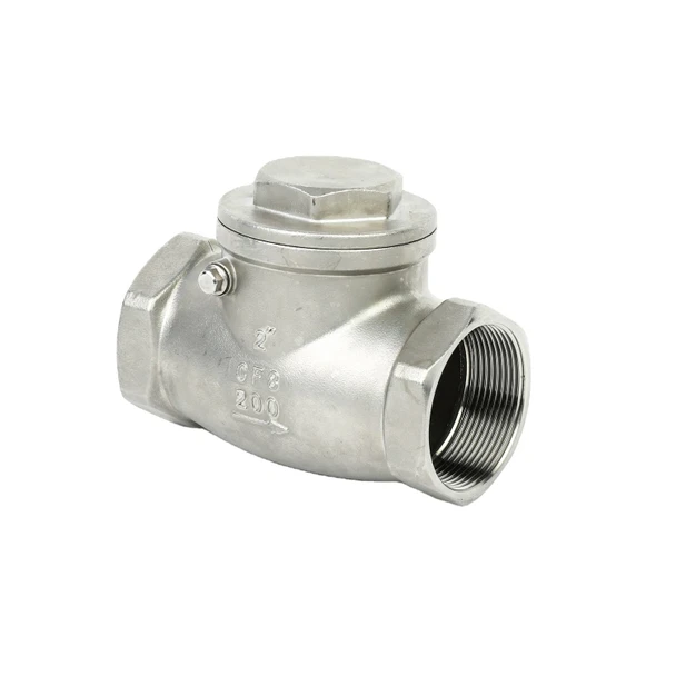 SS316 Swing Check Valve 2 in BSP PN16