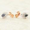 Second Hand 9ct Gold Sapphire & Diamond Cluster Earrings