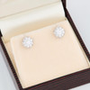 18ct White Gold Diamond Cluster Stud Earrings - In Box