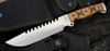 Limited Edition Sawtooth Badger Ganzaaa