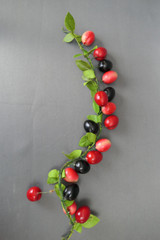 Vintage Berries Millinery Hat Flowers, 14 inch piece, 1940s