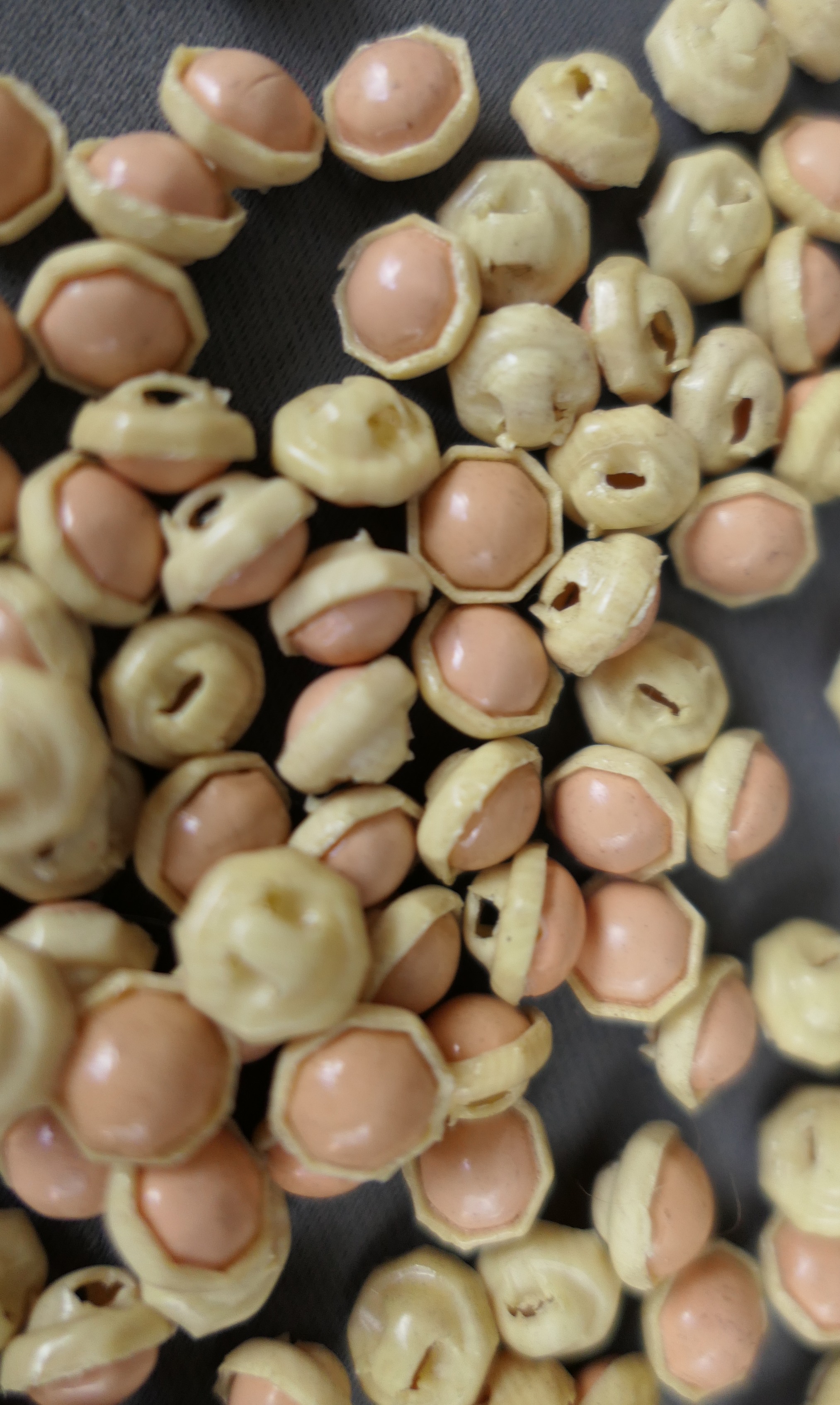 Lot of Celluloid Buttons 259, small 3/8 inch, ivory and peach, 1920s Children's Clothing