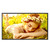 LG 32UL5Q-M 32" Full HD Standard Signage