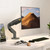 North Bayou F80 Single Arm Mount for 17"-30"Monitor