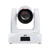 AVer PTC310HWV2 AI Auto Tracking PTZ Full HD Camera AVer PTC310HWV2 AI Auto Tracking PTZ Full HD Camera