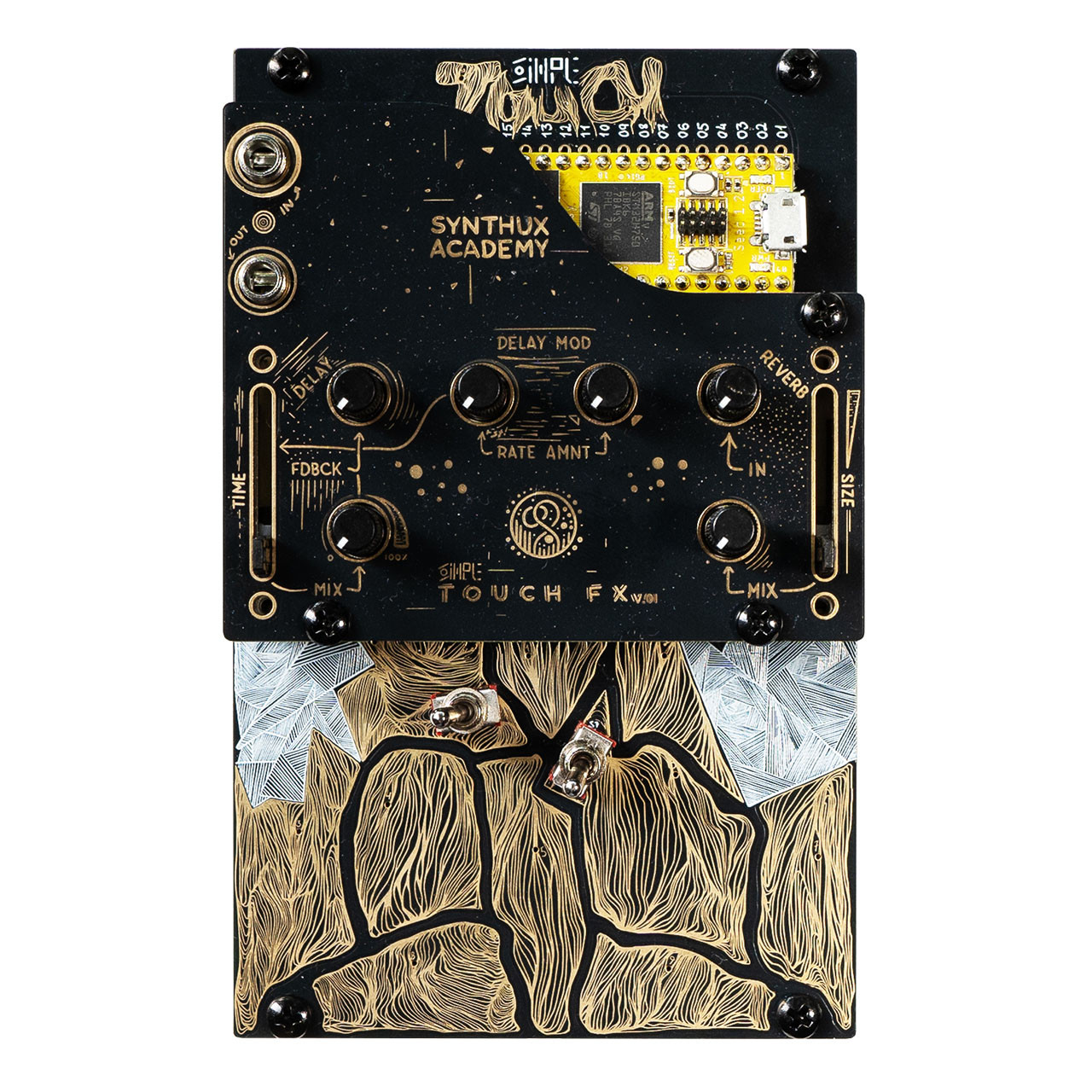 Synth Academy Audrey II シンセサイザー Synthux Audrey II Feedback Synthesizer