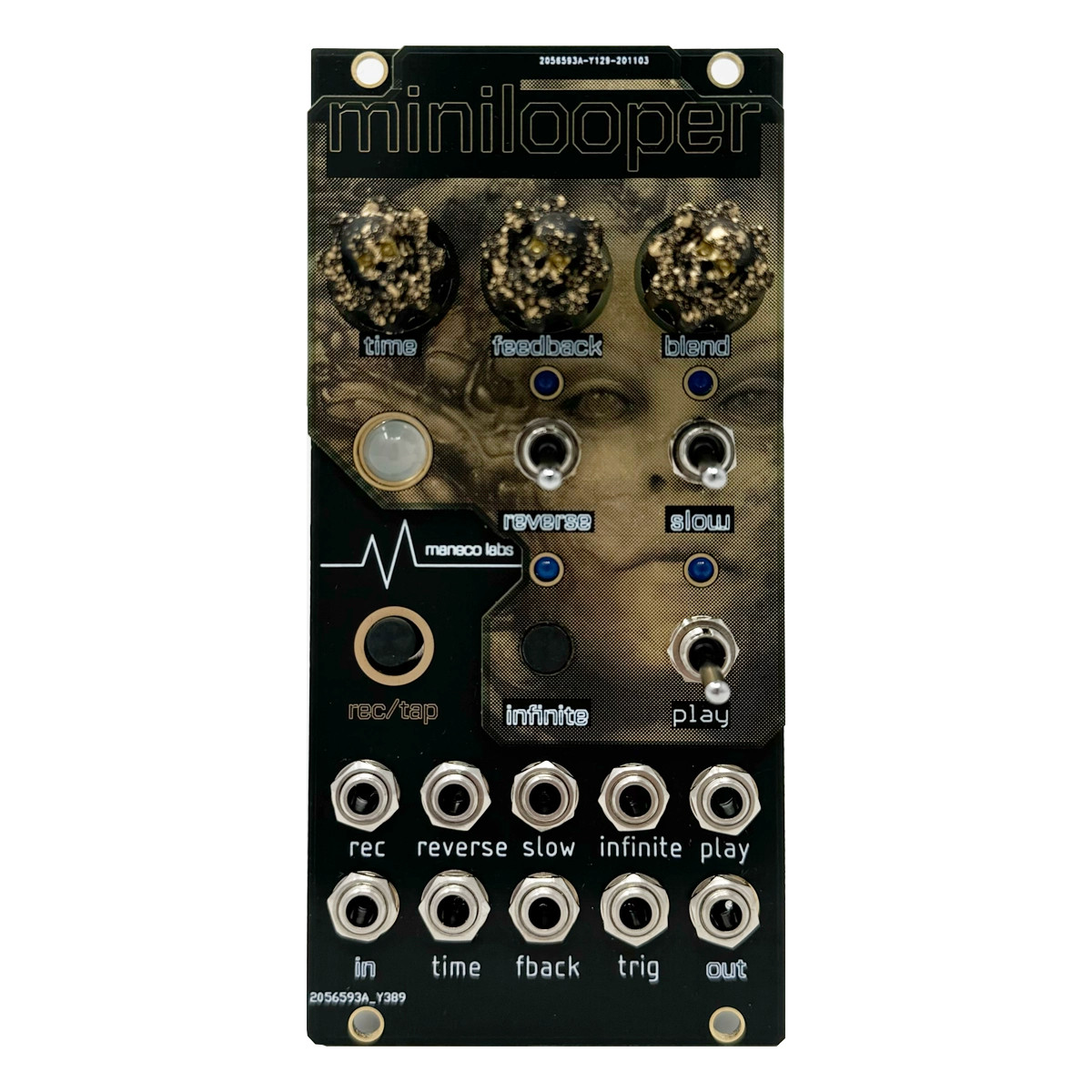 Maneco Minilooper Eurorack Delay and Looper Module at Signal Sounds