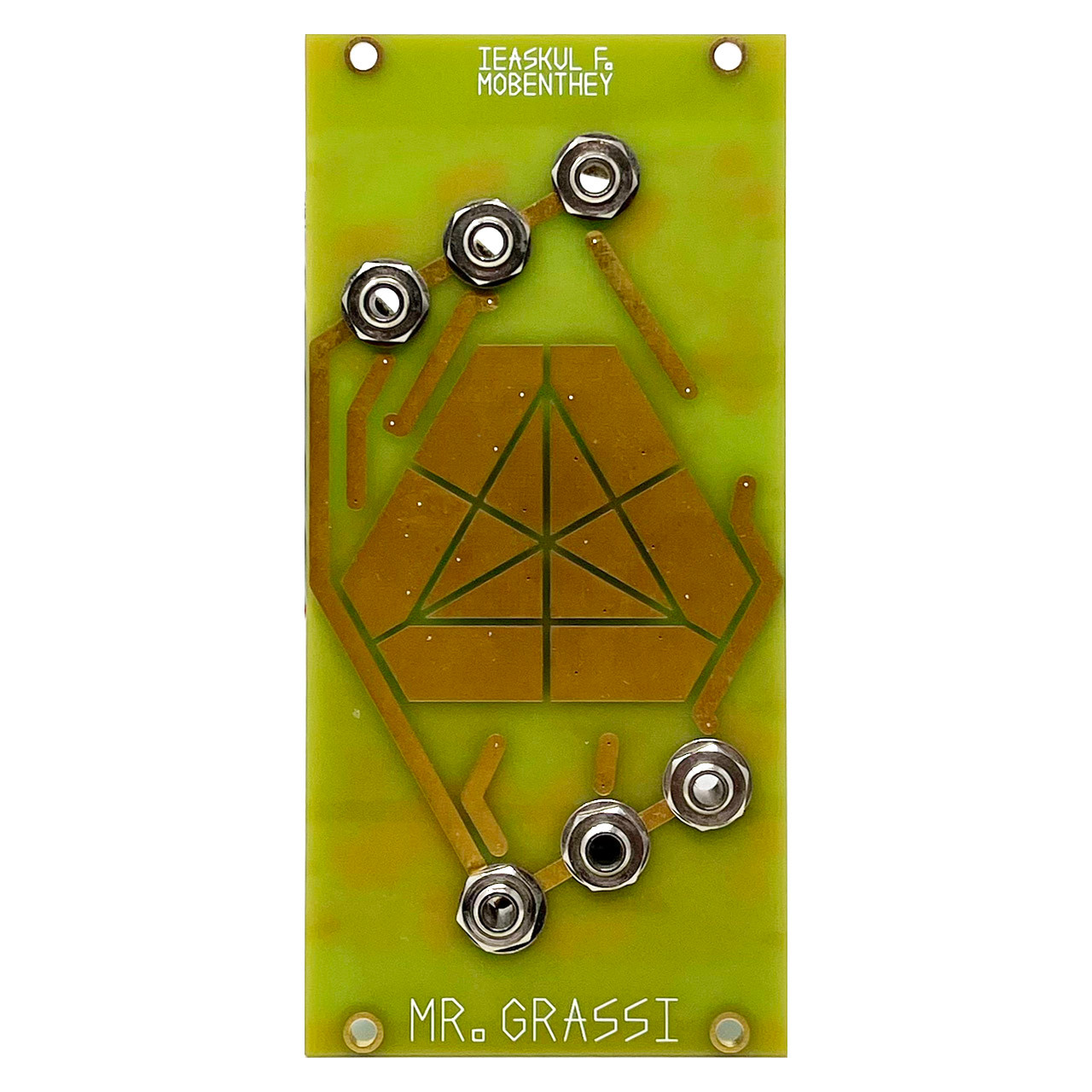 Ieaskul F. Mobenthey Mr Grassi Eurorack Noise & Random Module (Pre-owned) main image