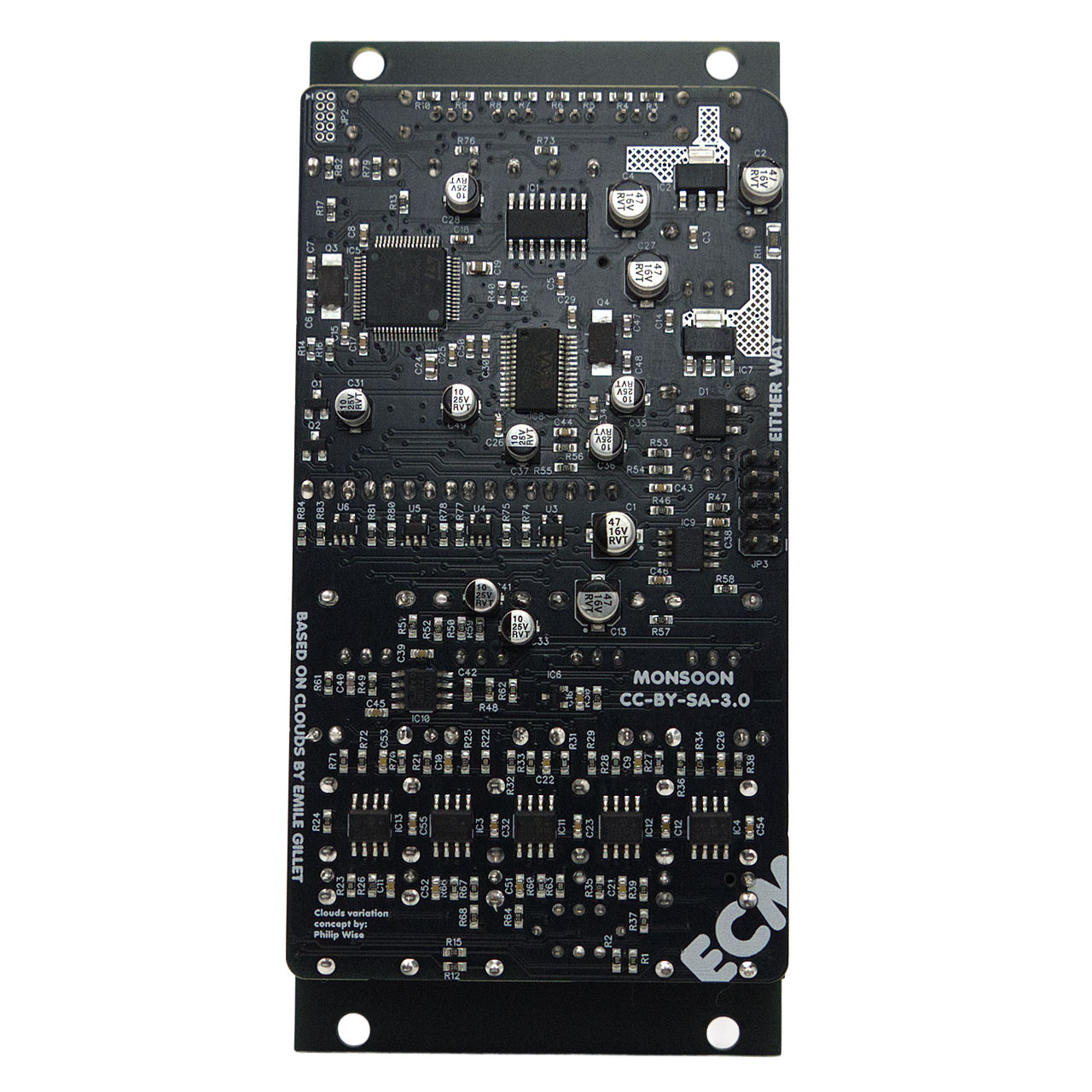 East Coast Modular Monsoon Eurorack Texture Synthesiser Module (Enhanced Clouds Clone - Black) image 2