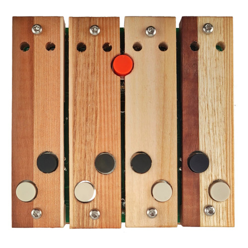 Ciat-Lonbarde Deerhorn Organ Experimental Synth at Signal Sounds