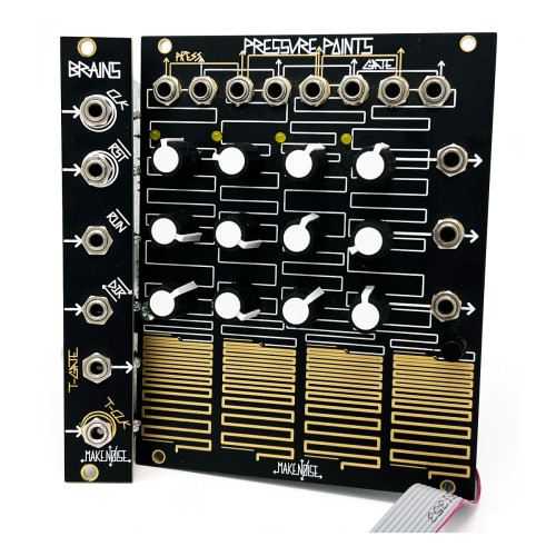Make Noise Pressure Points & Brains Eurorack Sequencer Modules (Pre-owned) Make Noise Pressure Points & Brains Eurorack Sequencer Modules (Pre-owned)