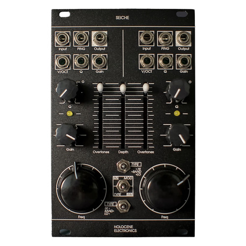 Holocene Electronics Seiche Eurorack Complex Filter Module (Black)