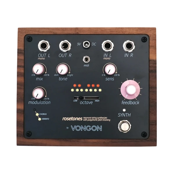 Vongon Rosetones Resonant String Synth main image