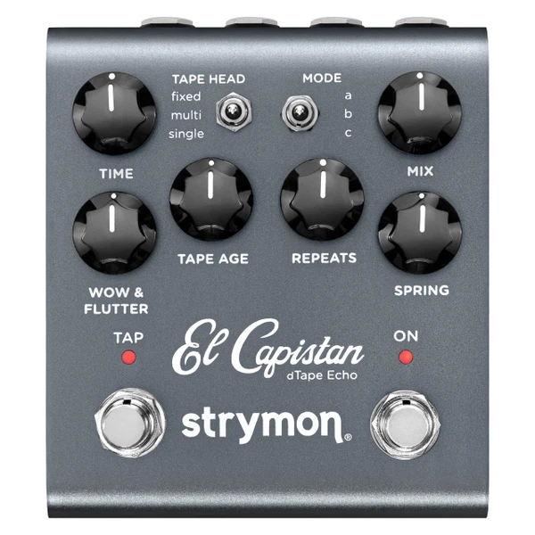 Strymon El Capistan V2 Tape Delay FX Processor main image