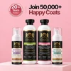 Calming 3-in-1 Shampoo | Argon Oil & Tea Rose • 16 oz.