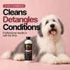 Calming 3-in-1 Shampoo | Argon Oil & Tea Rose • 16 oz.