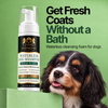 Waterless Oatmeal & Coconut Dog Shampoo • 7.1oz