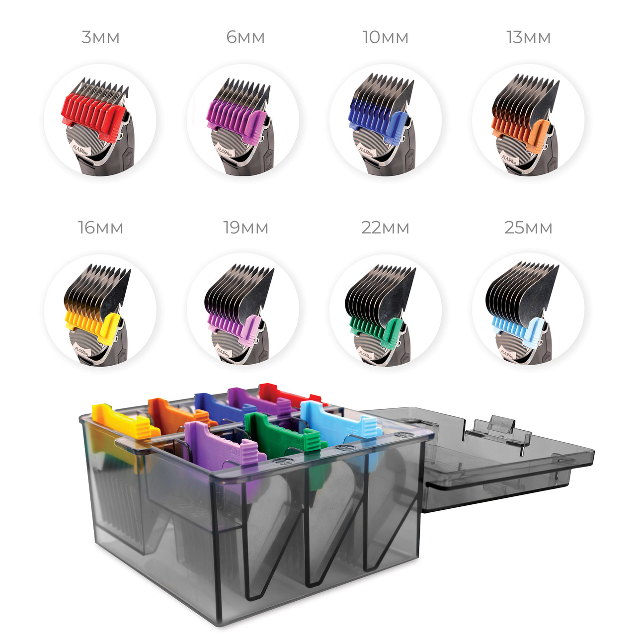 ビカクシダ KEN3 191023bik.jpg