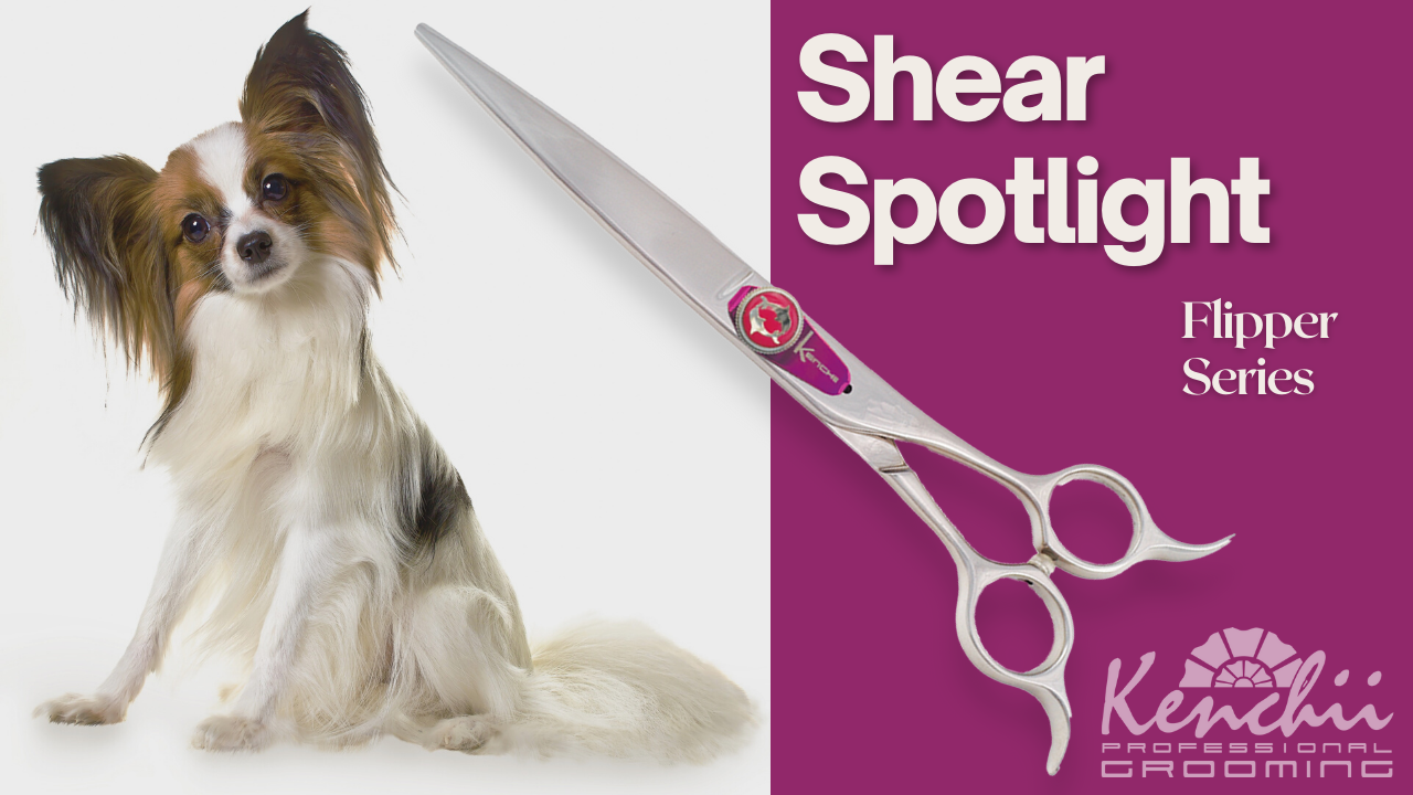 Shear Spotlight Flipper Kenchii Grooming