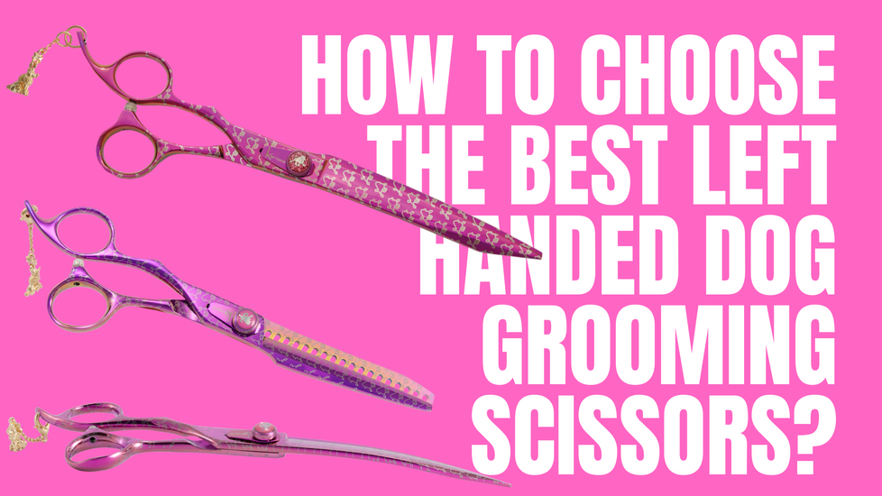 ​How To Choose The Best Left Handed Dog Grooming Scissors?