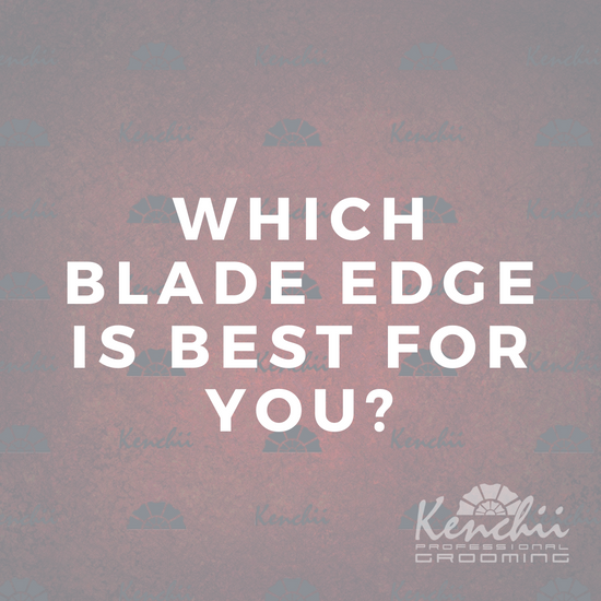 Which Blade Edge is Best for You?