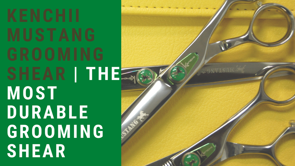 Kenchii Mustang Grooming Shear | The Most Durable Grooming Shear