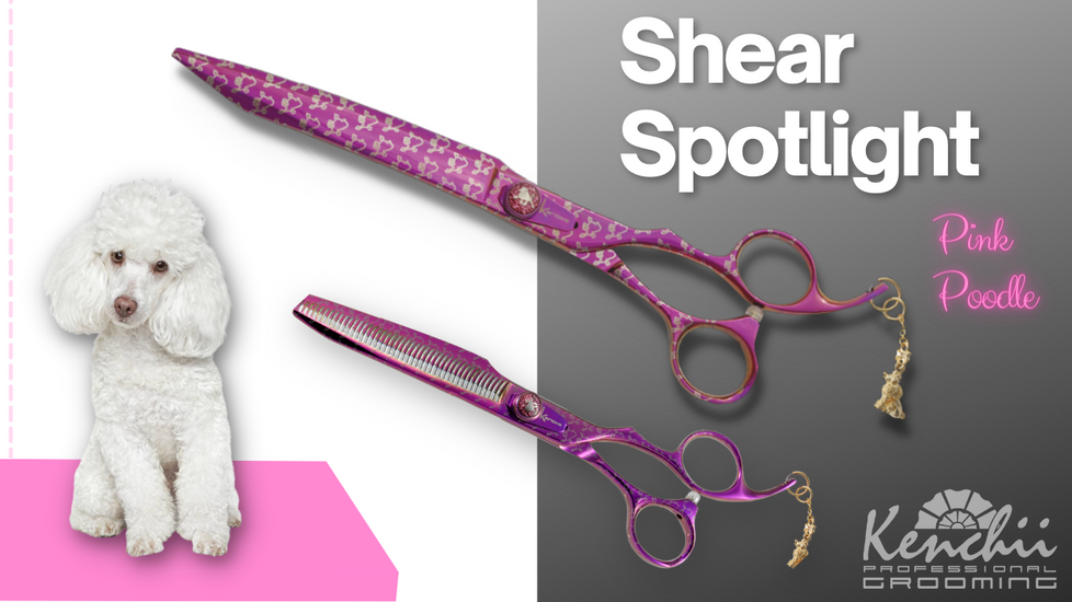 Shear Spotlight: Pink Poodle