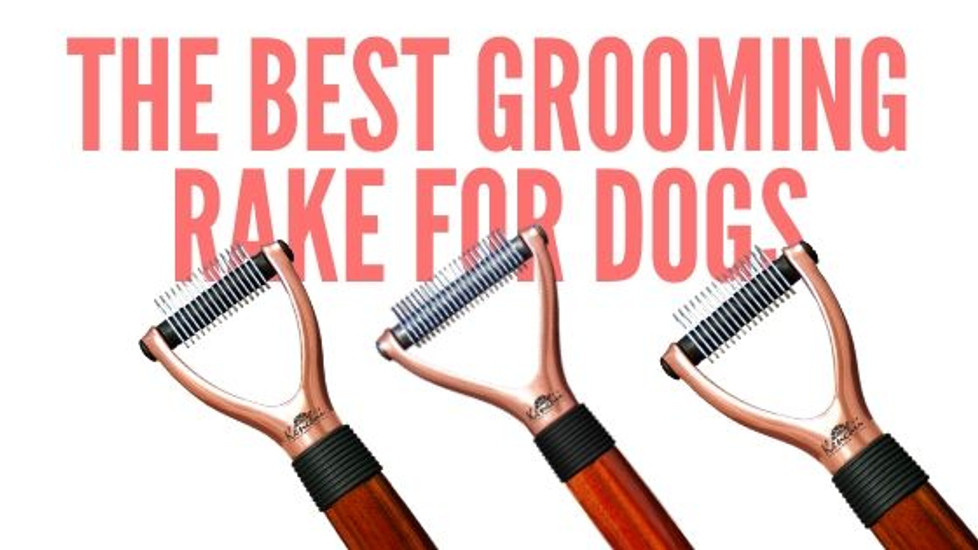 The Best Grooming Rake For Dogs