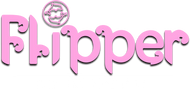 Flipper™