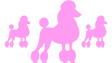 Pink Poodle™