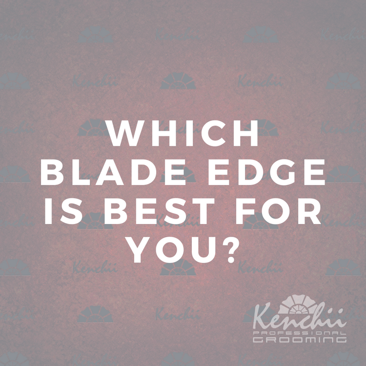 Which Blade Edge Is Best For You Kenchii Grooming