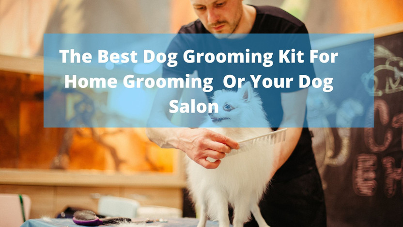 best home dog grooming kit