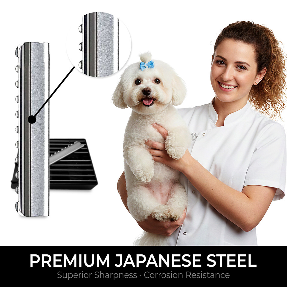 Razor Blades • 10-Pack Replacement Blades