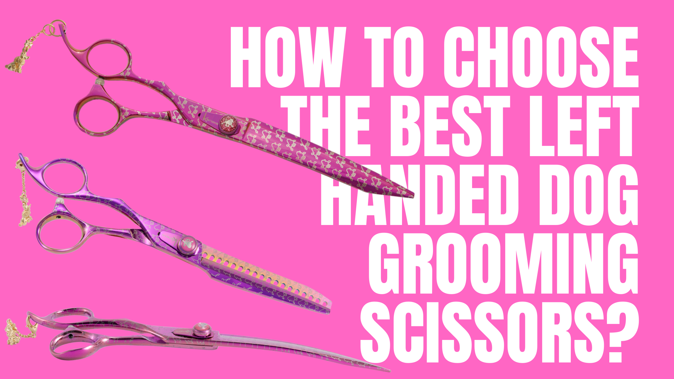 how often do dog grooming scissors need sharpening