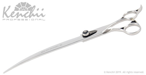 Yalangoch chempionlar fotosuratlari