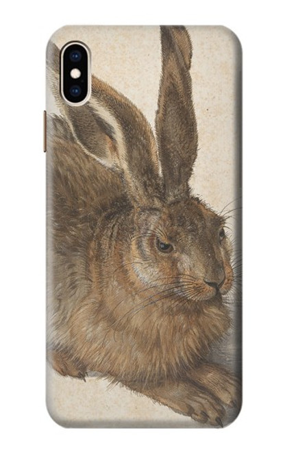 S3781 Albrecht Durer Young Hare Case For iPhone XS Max