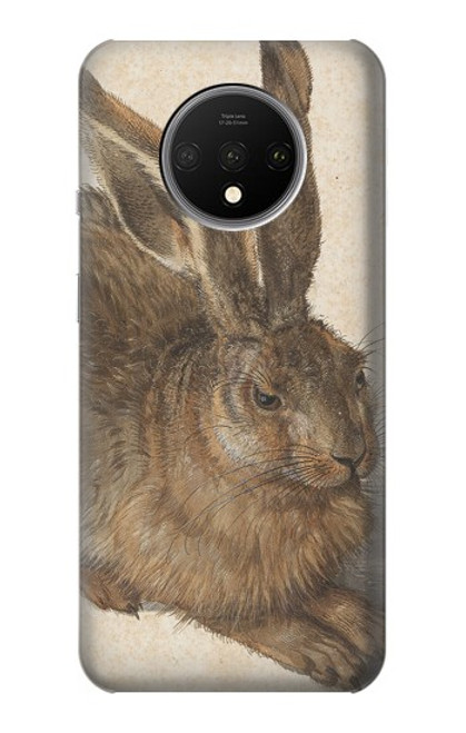 S3781 Albrecht Durer Young Hare Case For OnePlus 7T