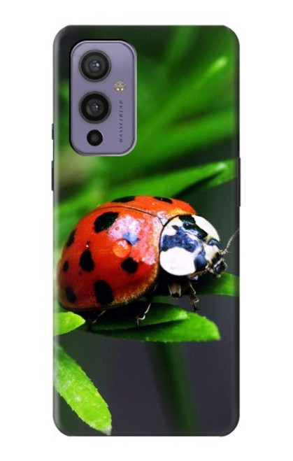 S0263 Ladybug Case For OnePlus 9