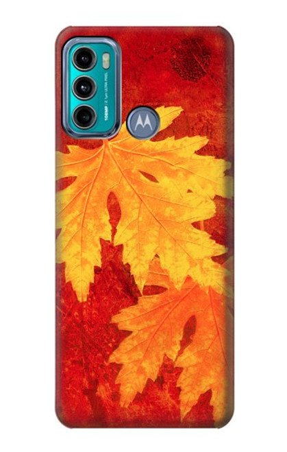 S0479 Maple Leaf Case For Motorola Moto G60, G40 Fusion
