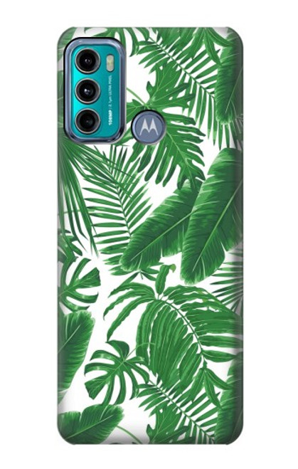 S3457 Paper Palm Monstera Case For Motorola Moto G60, G40 Fusion
