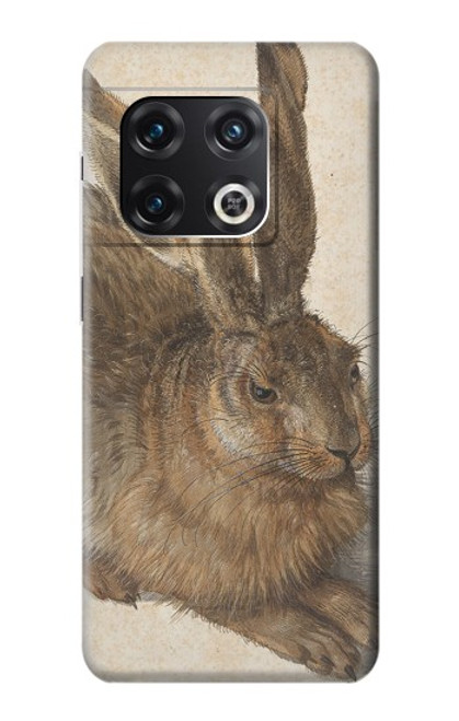 S3781 Albrecht Durer Young Hare Case For OnePlus 10 Pro