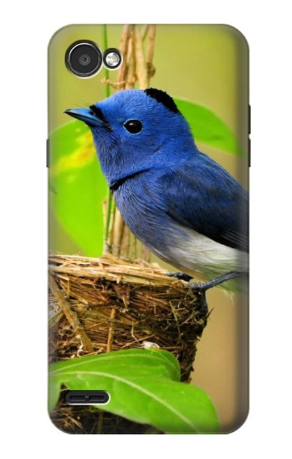 S3839 Bluebird of Happiness Blue Bird Case For LG Q6