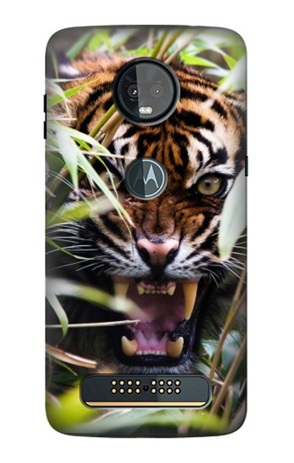 S3838 Barking Bengal Tiger Case For Motorola Moto Z3, Z3 Play