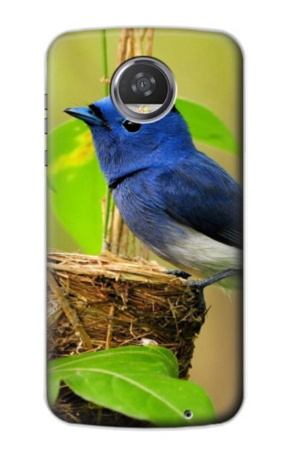 S3839 Bluebird of Happiness Blue Bird Case For Motorola Moto Z2 Play, Z2 Force