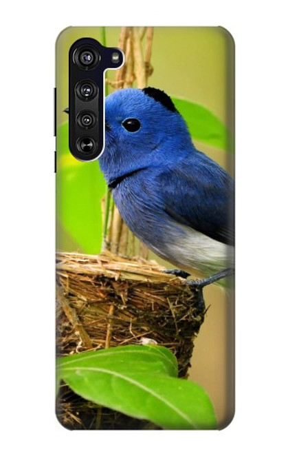 S3839 Bluebird of Happiness Blue Bird Case For Motorola Edge