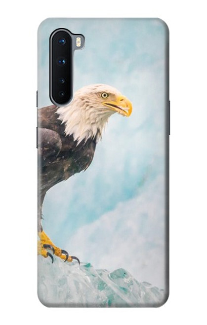 S3843 Bald Eagle On Ice Case For OnePlus Nord