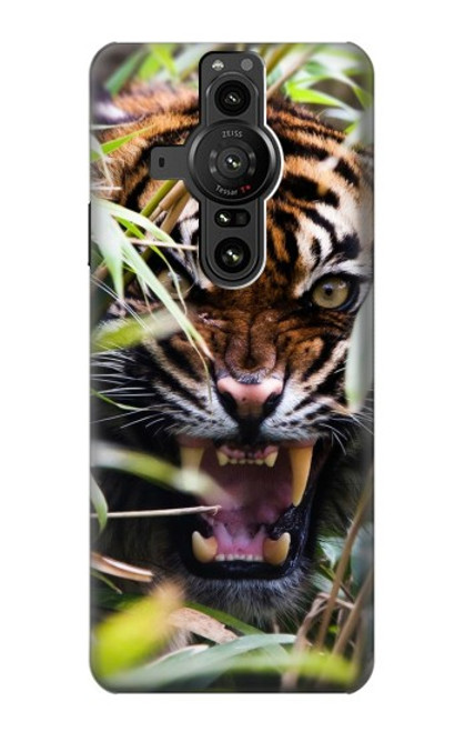 S3838 Barking Bengal Tiger Case For Sony Xperia Pro-I